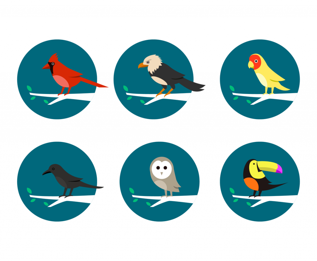 Bird Vectors - Bittbox