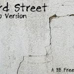 23rd_street_demo_1