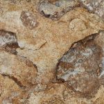 BB_BeachRock_01 BB_BeachRock_01