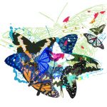 butterflies_11
