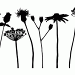 flower_silhouettes