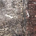 free_high_res_texture_11