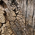 free_high_res_texture_111