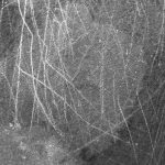 free_high_res_texture_156