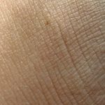 free_high_res_texture_170