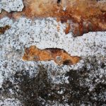 free_high_res_texture_240