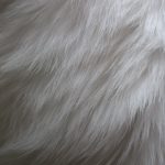 free_high_res_texture_448