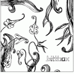 free_vector_ornaments_6