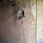 oldwall1