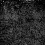riverbank_1