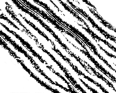 Abstract Ripple Photoshop Brush 1