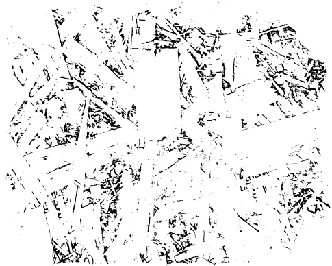 Plywood Photoshop Brush 1