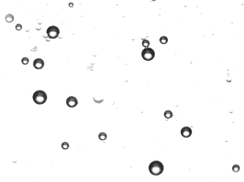 Tiny Bubble Photoshop Brushes Preview  2