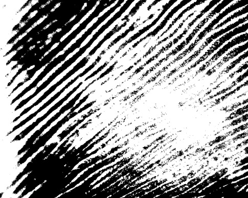 Abstract Ripple Photoshop Brush 2