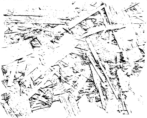 Plywood Photoshop Brush 2