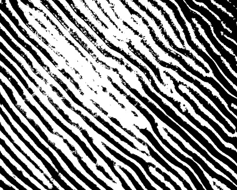 Abstract Ripple Photoshop Brush 3