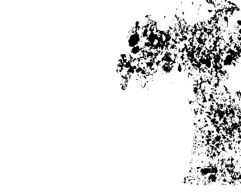 Grunge Edge Photoshop Brush 3