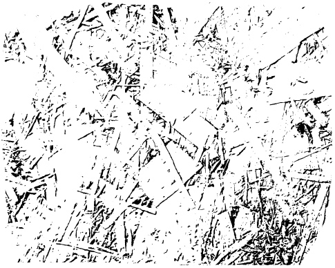 Plywood Photoshop Brushes 3