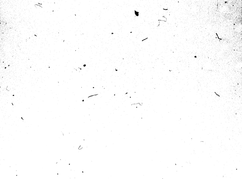 Simple Noise Photoshop Brush 3