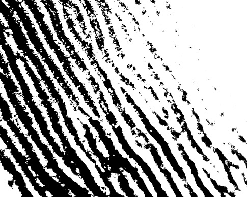Abstract Ripple Photoshop Brush 4