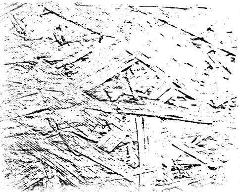 Plywood Photoshop Brushes 4