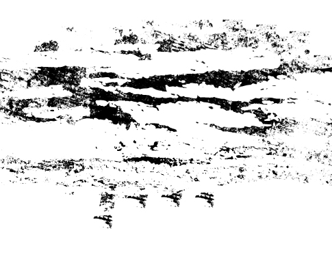 Erratic Stripe Photoshop Brushes 4