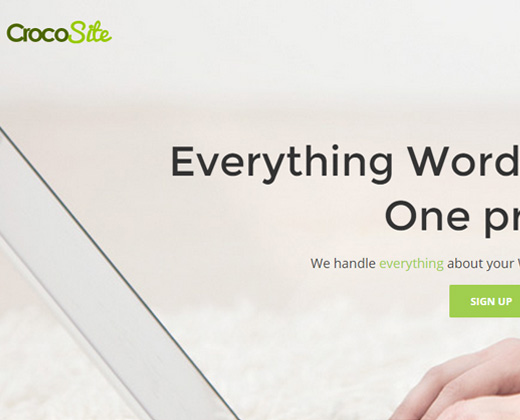 crocosite startup website homepage design