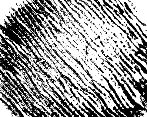 Abstract Ripple Photoshop Brush 5