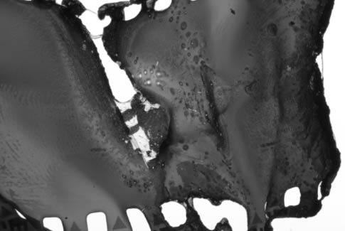 Tortured Film Free Photoshop Brushes Preview 6