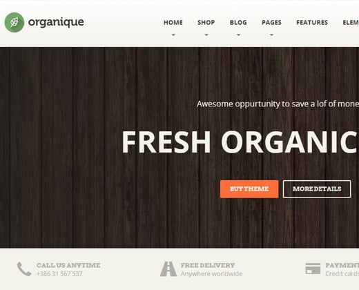 organic premium healthy food wordpress