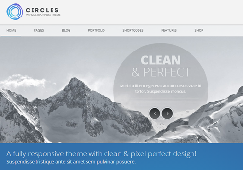 circles premium wordpress theme business template