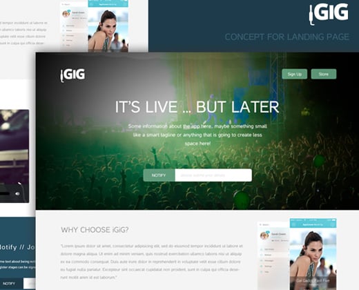 igig landing page website design