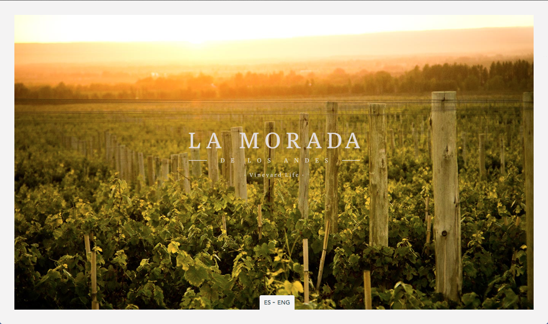 LaMoradaDeLosAndes.com