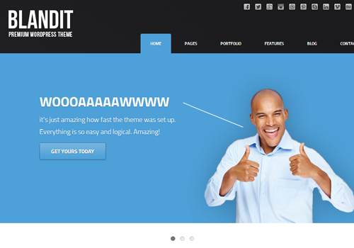 blandit wordpress business portfolio theme