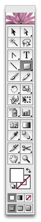 Selecting the rounded rectangle tool