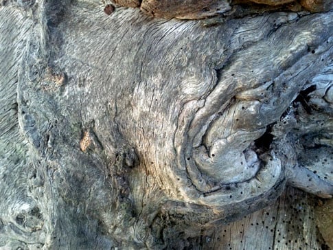 Free Texture Tuesday: Ancient Wood 2