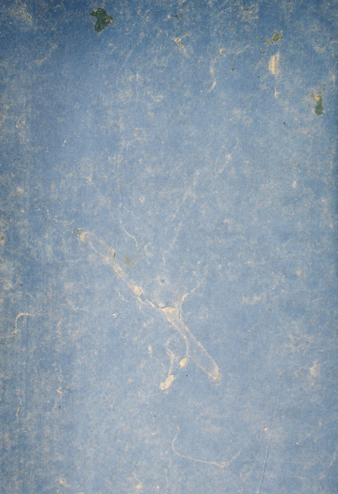 Free Texture Tuesday: Blue Grunge 2