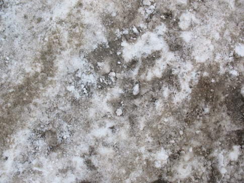 Free Texture Tuesday: Grunge Snow