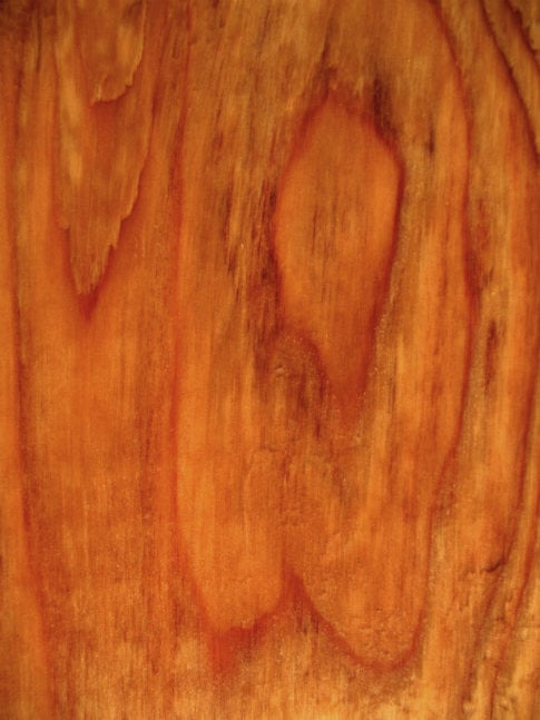 Free Texture Tuesday: Damp Wood