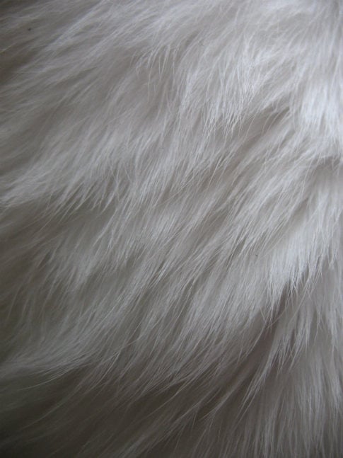Free Texture Tuesday: Fur 2