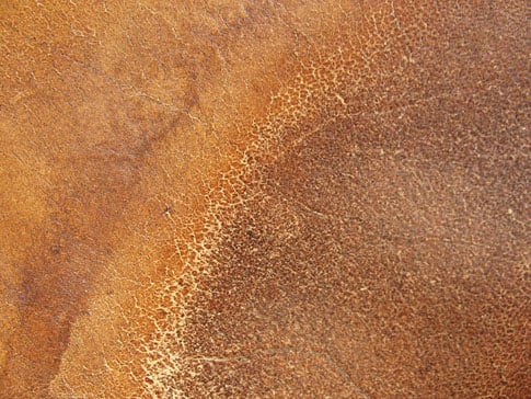 Free Texture Tuesday: Leather