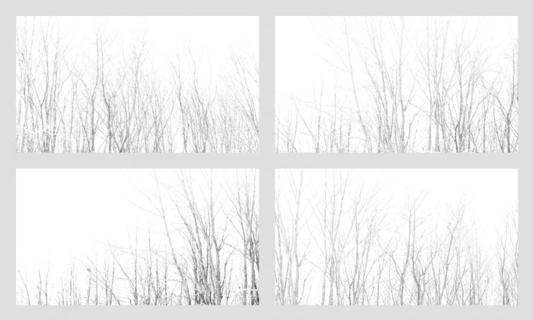 Freebie Friday: 6 Simple Treeline Photoshop Brushes