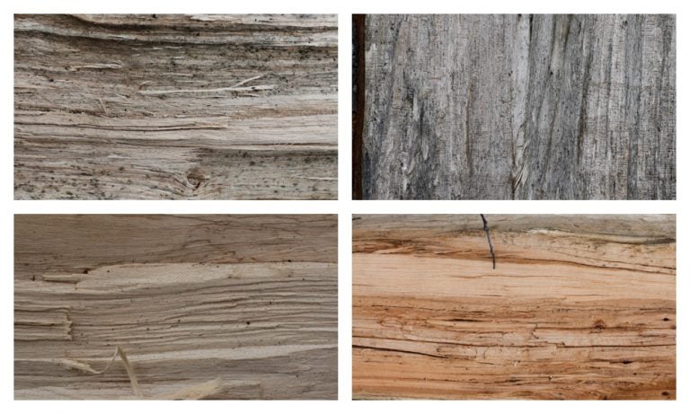 Free Texture Tuesday: 5 Split Wood Textures