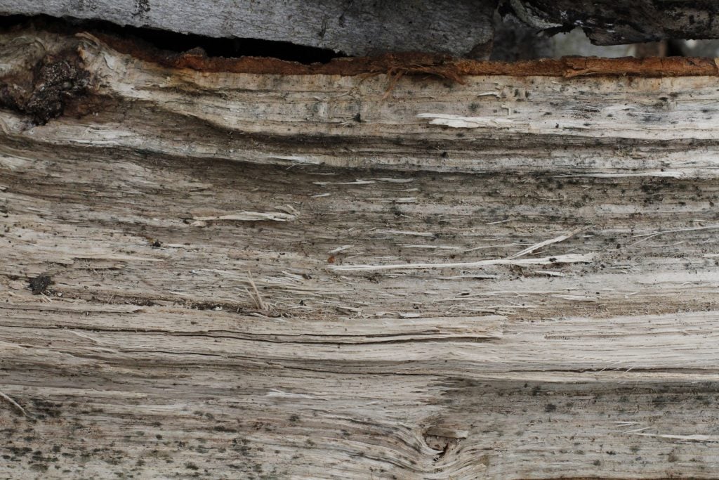 Split Wood Texture 5