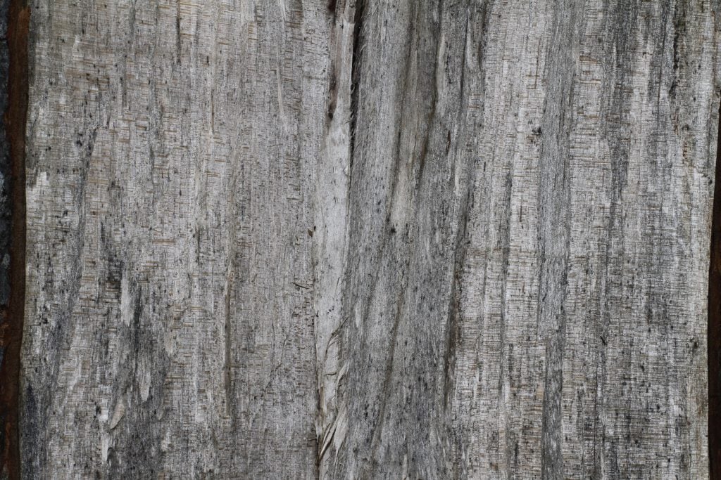 Split Wood Texture 4