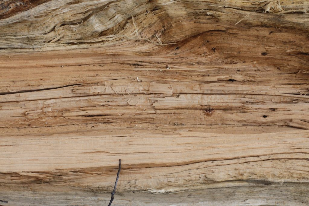 Split Wood Texture 3