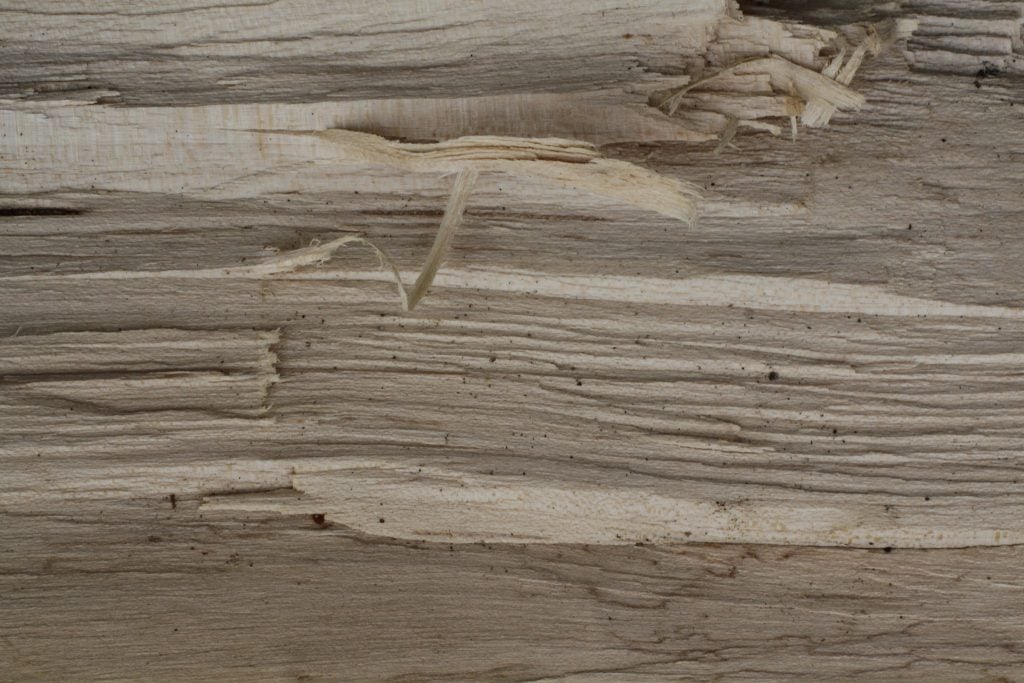 Split Wood Texture 2