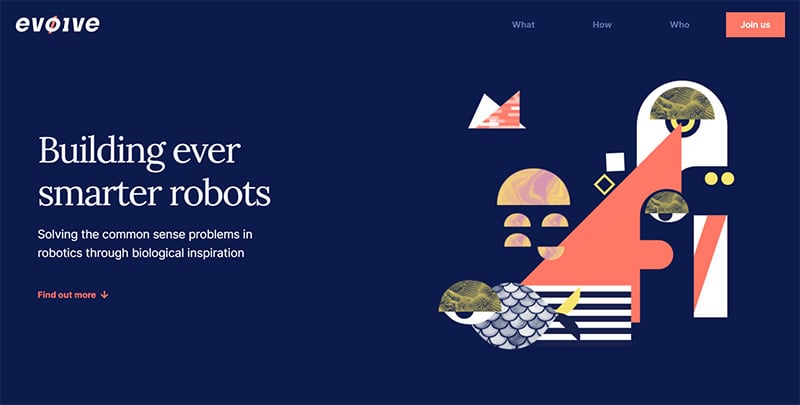 Company Website for Evolve