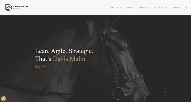 Davis Malm