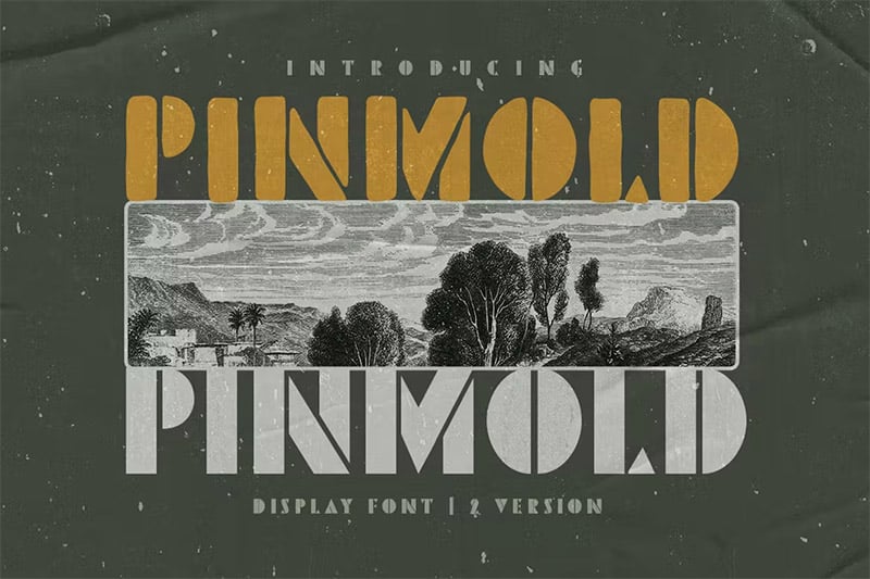 Pinmold